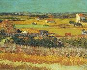 The Harvest, Arles, Vincent Van Gogh